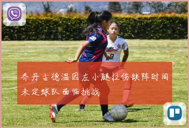 乔丹古德温因左小腿拉伤缺阵时间未定球队面临挑战
